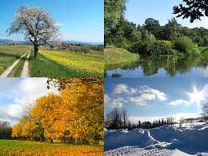 The 4 different Seasons