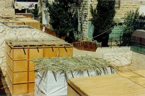Wooden and palm sukkah's in Isreal