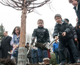 Jewish children planting a tree